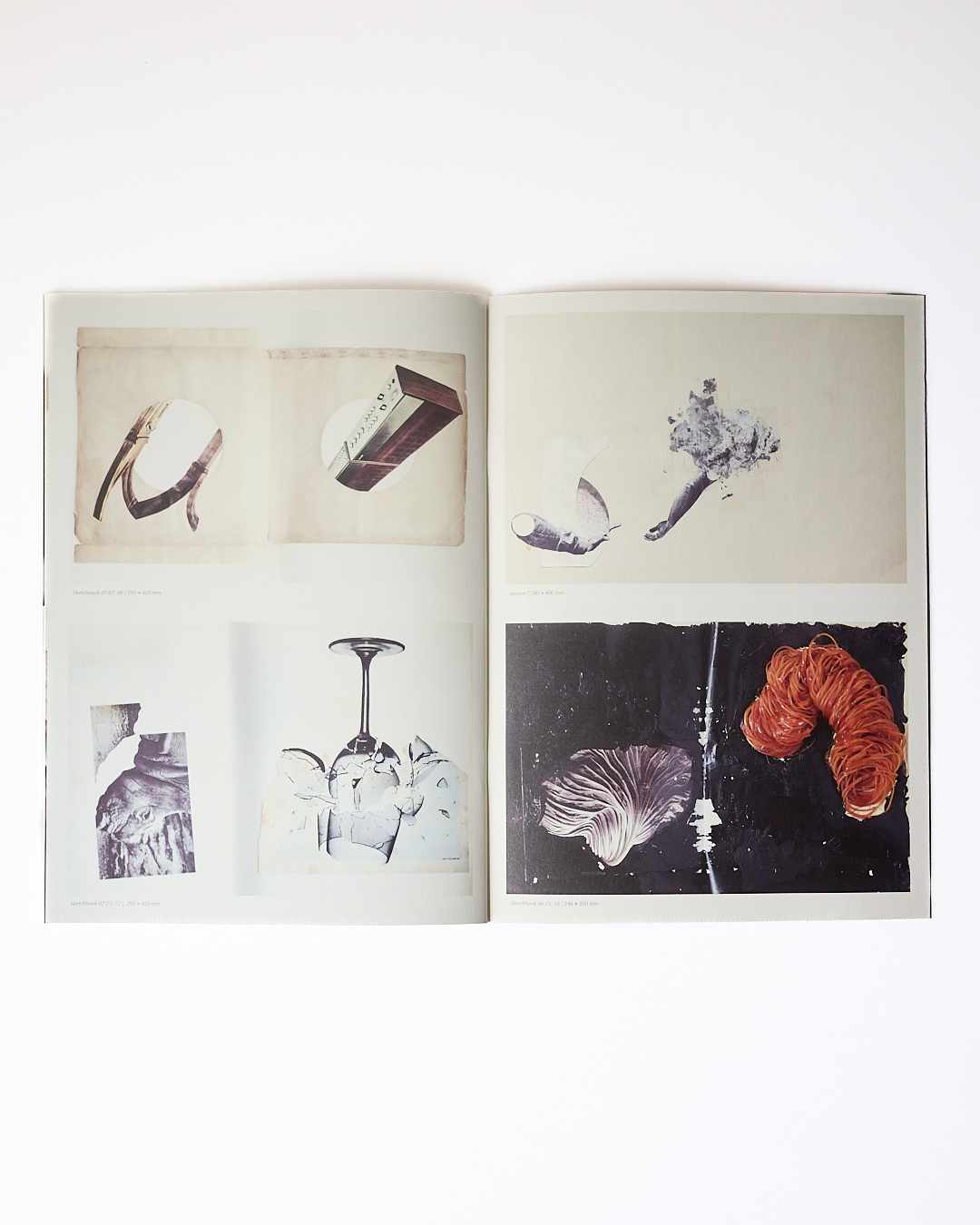 『Edges Echoes』書籍