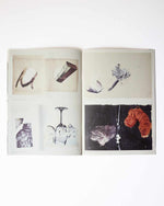 Edges Echoes Book